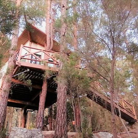 Casita Colgada "Can Lia" La Guancha Eksteriør bilde